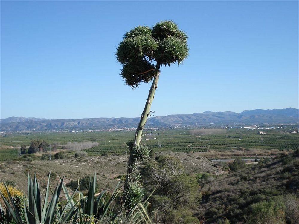 Отель El Raco De La Pintora "Adults Only" Alberic Экстерьер фото
